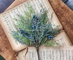 an old book with some blue flowers on top of it and sheet music in the background