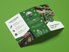 a green and white brochure with images of fruits and vegetables on the front