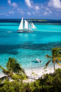 a sailboat sailing in the ocean with palm trees on the shore and blue water