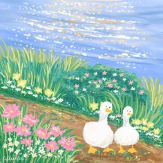 two white ducks are sitting in the grass by some flowers and water with blue sky behind them