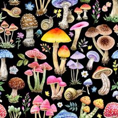 a painting of many different types of mushrooms on a black background with flowers and leaves