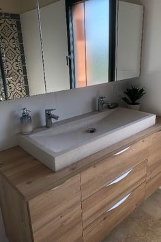 a bathroom with a sink, mirror and plant on the counter top in front of it