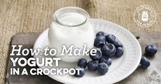 yogurt in a crockpot on a plate with blueberries