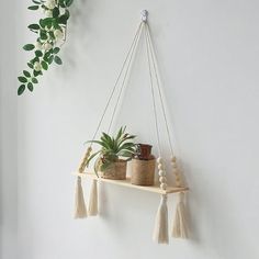 some plants are hanging on a shelf with tassels