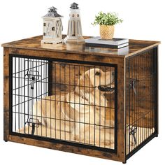 a dog in a cage on top of a table