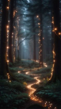 a path in the middle of a forest with lights on it