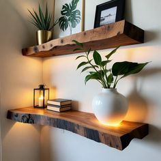 a couple of shelves that have some plants on them