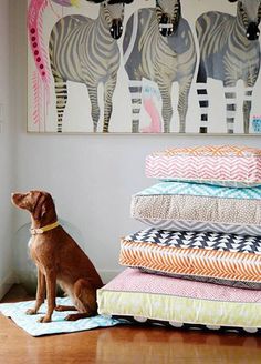 a brown dog sitting on top of a wooden floor next to a pile of pillows