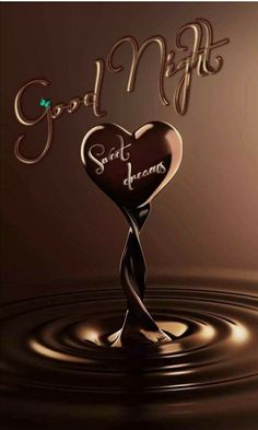 a chocolate heart with the words good night on it in front of a brown background