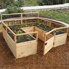 several wooden raised garden beds with plants growing in them