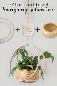 the diy hoop and basket hanging planter is perfect for any room in your home