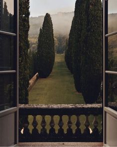 an open door leading to a lush green yard with trees on either side and fog in the distance