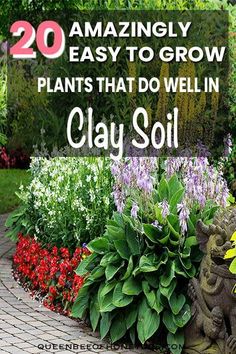 plants that do well in clay soil with the words 20 amazingly easy to grow plants that do well in clay soil