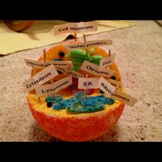 an orange with some sort of food on top of it that says cell membranee