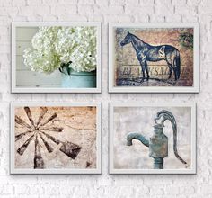 four framed pictures of horses and water faucets on a brick wall above a fire hydrant