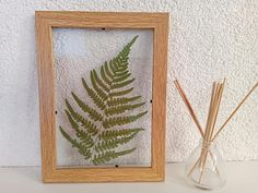 a wooden frame with a fern leaf in it next to reeds and a glass vase