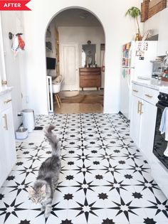 a cat walking across a kitchen floor next to an oven