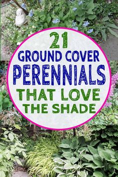 there is a sign that says ground cover perennials that love the shade