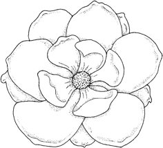 a black and white drawing of a flower