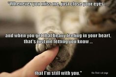 a person petting a cat's paw with the caption, whenever you miss me, just close your eyes and when you get that heavy feeling in your heart