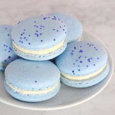 four blue and white macaroons on a plate