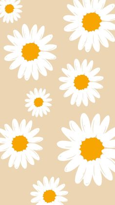 white daisies on a tan background with an orange center in the middle and bottom