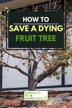 a sign that says how to save a dying fruit tree