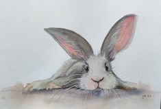 a watercolor painting of a rabbit's head resting on top of the ground