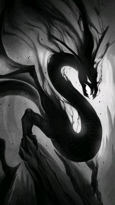 a black and white drawing of a dragon