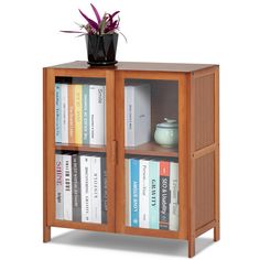 a bookcase with books and a potted plant on top