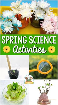 spring science activities for kids with flowers and plants