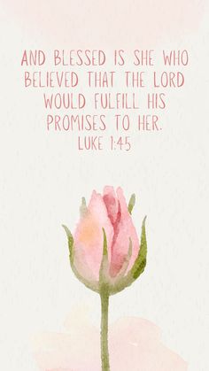 a pink rose with the bible verse on it's back and an image of a flower