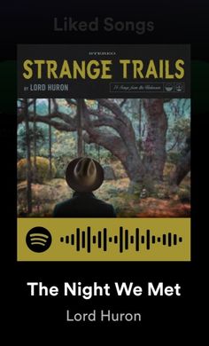 the night we met with lord huron and strange trails on spotify's website