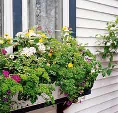 a window box filled with lots of flowers