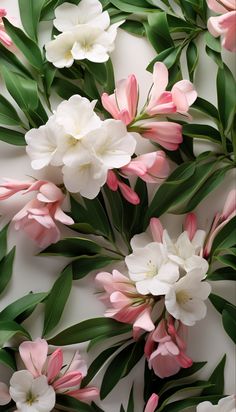 pink and white flowers with green leaves on a white background