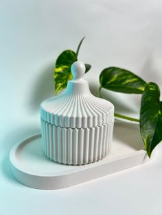 a white vase sitting on top of a table next to a green leafy plant