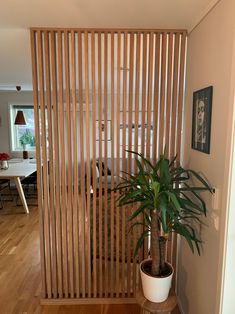 there is a potted plant in the corner of this room with wooden slats on the wall