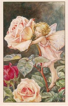 a painting of a fairy with roses in the foreground and a pink rose in the background