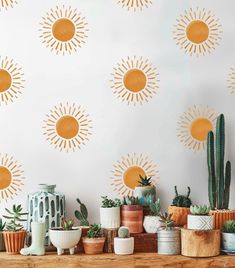 many potted plants and cactuses on a shelf in front of a wall with sun stencils