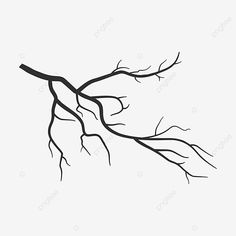 a tree branch with no leaves is shown in black and white on a light gray background