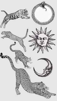 an ink drawing of different animals and their names on a gray background with the sun, moon, and crescent