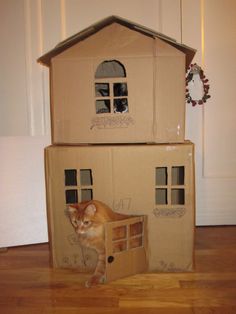 an orange cat standing in front of a cardboard house