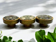 three round wooden knobs sitting on top of a white table next to green plants