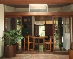 a dining room table with chairs and a potted plant on the floor in front of it