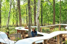 people sitting at tables in the middle of a forest with lots of trees and benches