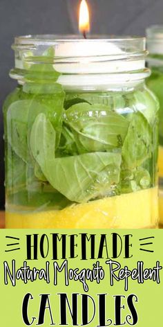 a jar filled with lemons and basil leaves next to a candle that reads homemade natural mosquito repellent candles