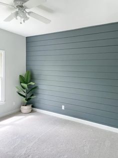 an empty room with a ceiling fan and a plant on the floor in front of it