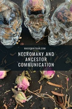 For many of us in the modern world, there has been a renewed interest in our family trees and in the traditions that our ancestors might have followed. Samhain (Halloween) in Pagan traditions is known as the time when the veil between our world and the spirit world is at its thinnest and there are several ways you can use the energy of Samhain to contact love ones.   #Samhian #Necromancy #WitchSpell #SkullBottle #witchcraft #wicca Pagan Solstice, Pagan Samhain, Pagan Traditions, Samhain Halloween, Hedge Witch, Witchcraft For Beginners, Witch Spell, Family Trees, Spirit World