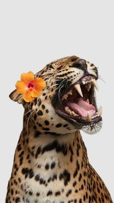 a leopard with an orange flower on it's head and its mouth wide open