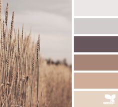 the color scheme is brown, gray and white